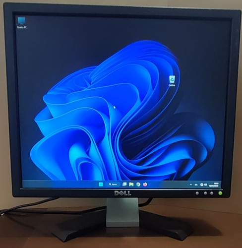 Dell e196fpf monitor schermo - dell,